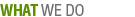 Company Profile